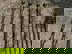 item-208804133=19