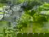 item-208804144=6