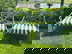 item-208804156=1