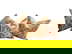 item-210667982=1
