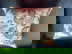 item-210667982=5