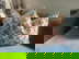 item-210667982=7