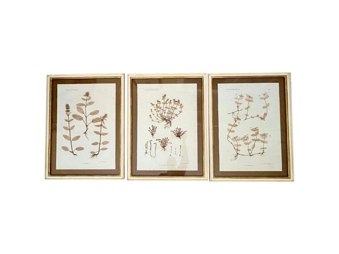 Sepia-Toned Botanicals, Set of 3 (1 of 15)