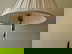 item-210668049=3