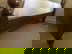 item-210668052=20