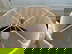 item-210668055=12