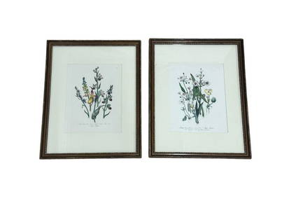 Framed Mrs. Jane Loudon Hand Colored Botanical Lithographs: 13.5in. w x 17.5 in. h