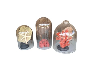 Coral & Cloche Collection