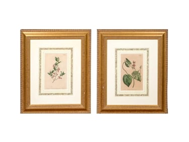 Antique Hand-Colored Botanical Prints, Pair
