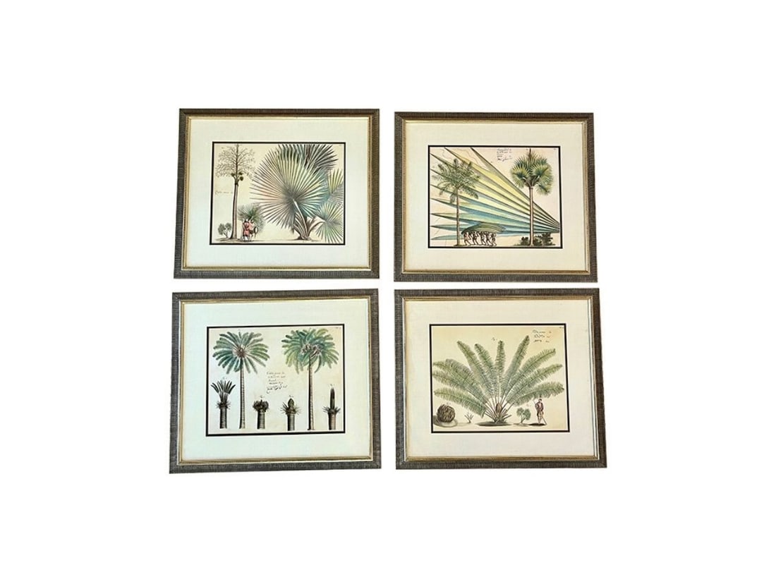 Palm Tree Botanicals, Set 4 (1 of 8)