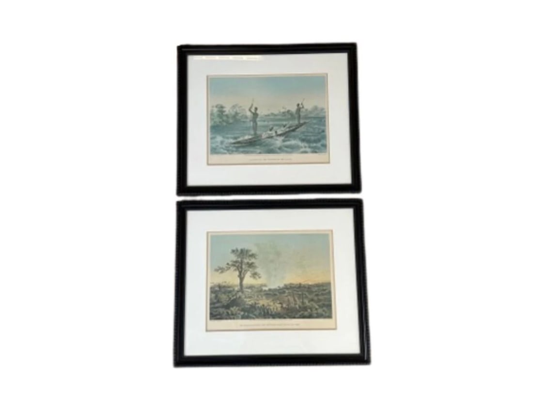 Framed Thomas Baines Lithographs, Pair. Comes with published book. (1 of 12)
