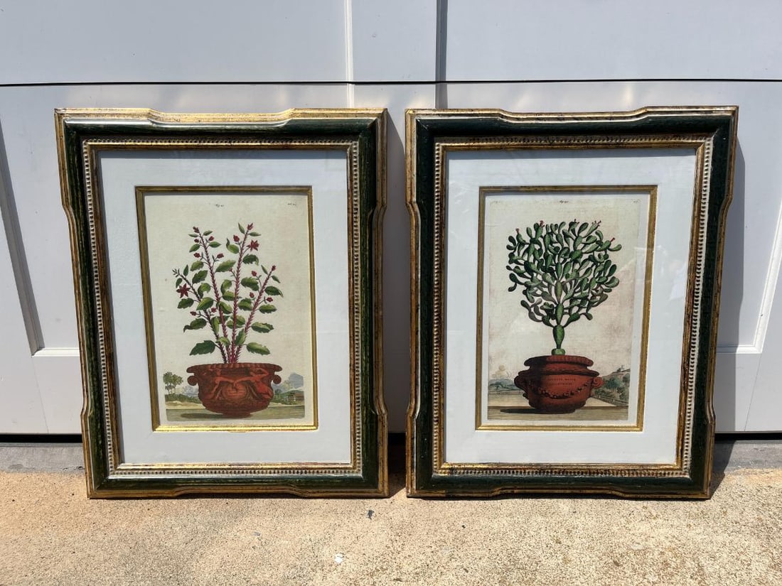 Trowbridge Framed Botanicals - 2