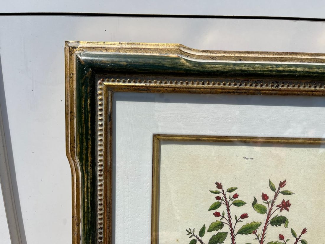 Trowbridge Framed Botanicals - 3