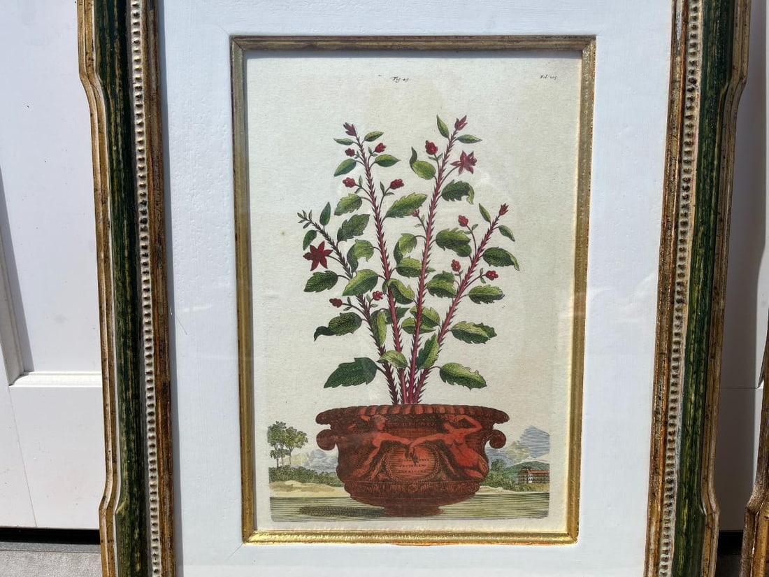 Trowbridge Framed Botanicals - 4