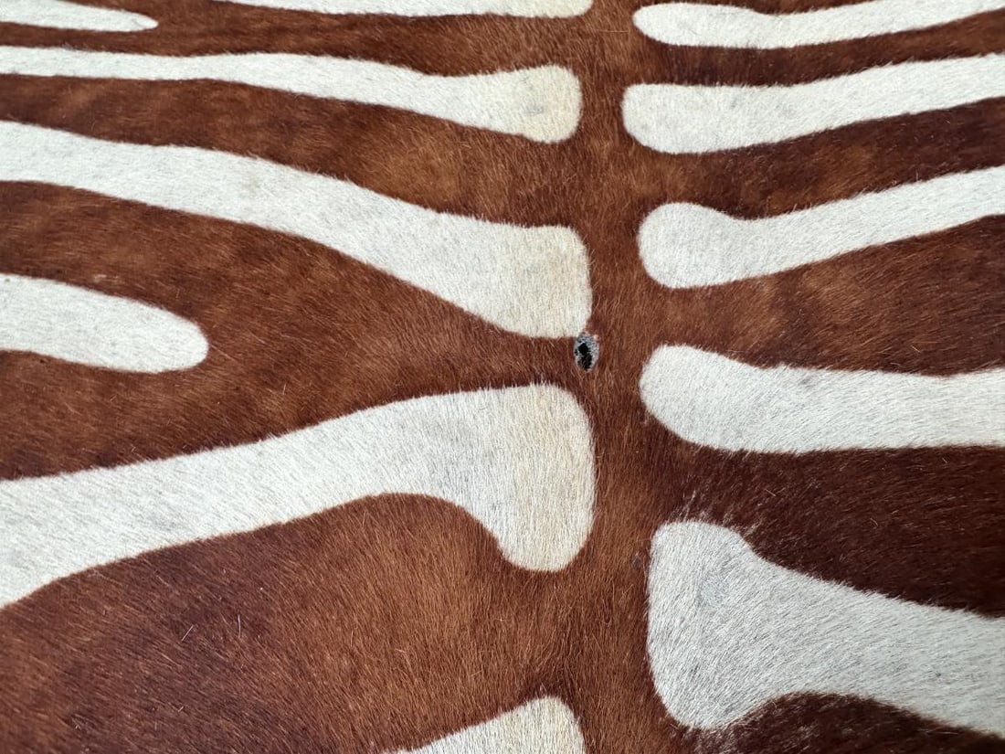 Zebra Stenciled Hide Rug - 10