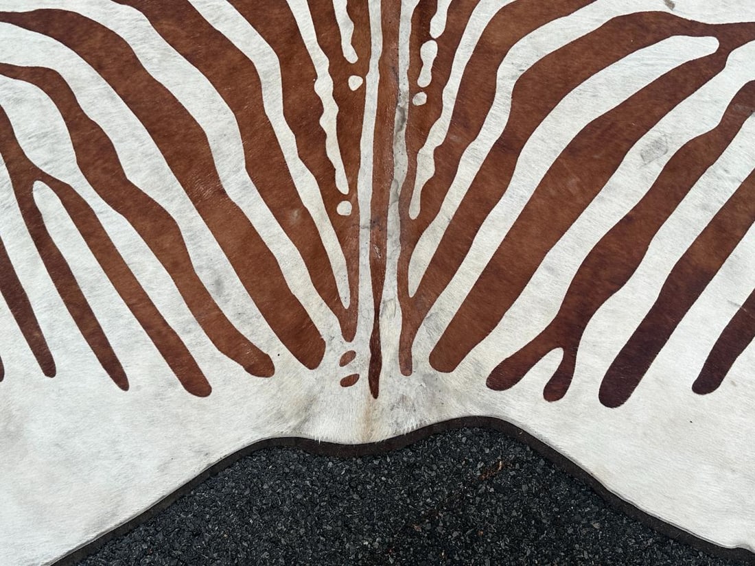 Zebra Stenciled Hide Rug - 3