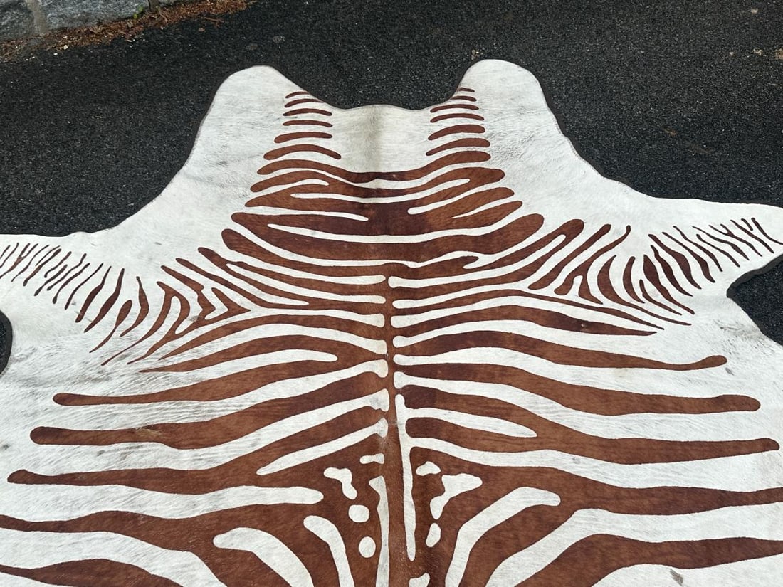 Zebra Stenciled Hide Rug - 5