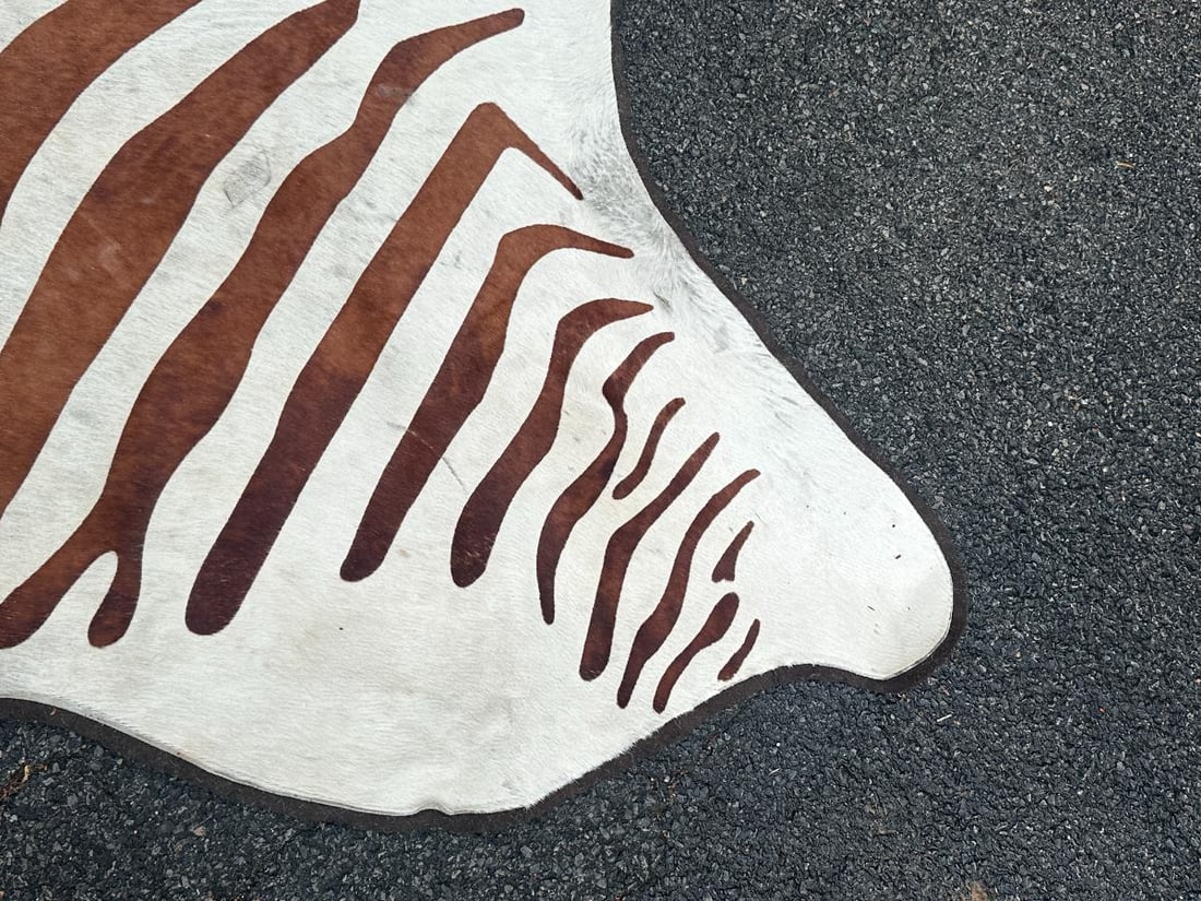 Zebra Stenciled Hide Rug - 6