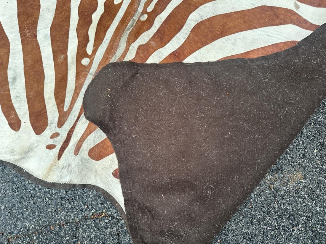 Zebra Stenciled Hide Rug - 7