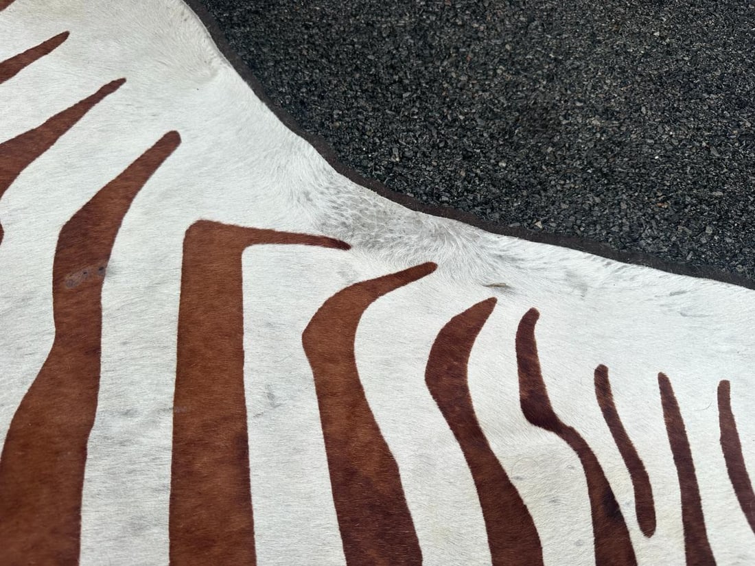 Zebra Stenciled Hide Rug - 9