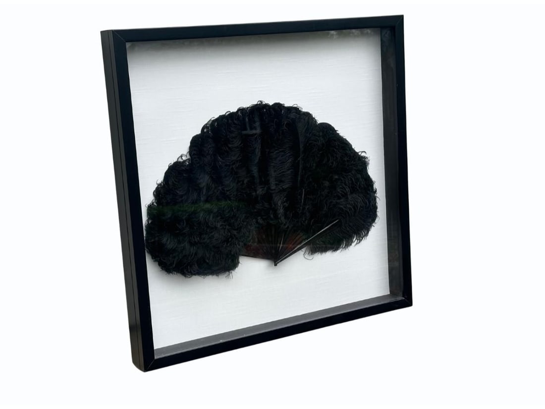 Large Ostrich Feather Fan in Framed Shadow Box (1 of 8)