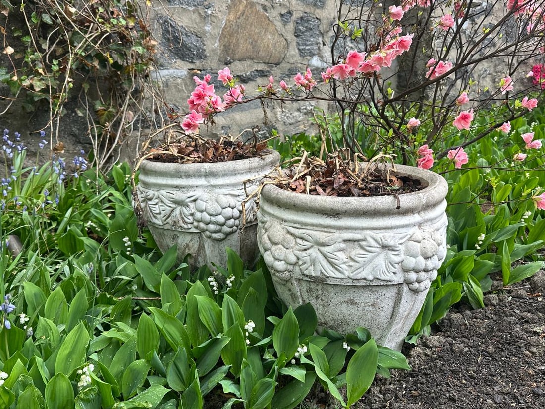 Planters with Grape Motif, Pair (1 of 4)