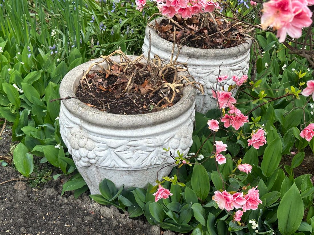 Planters with Grape Motif, Pair - 2