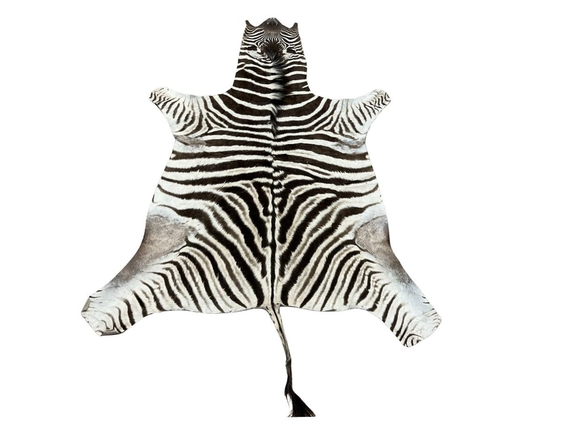 Genuine Zebra Rug (1 of 12)