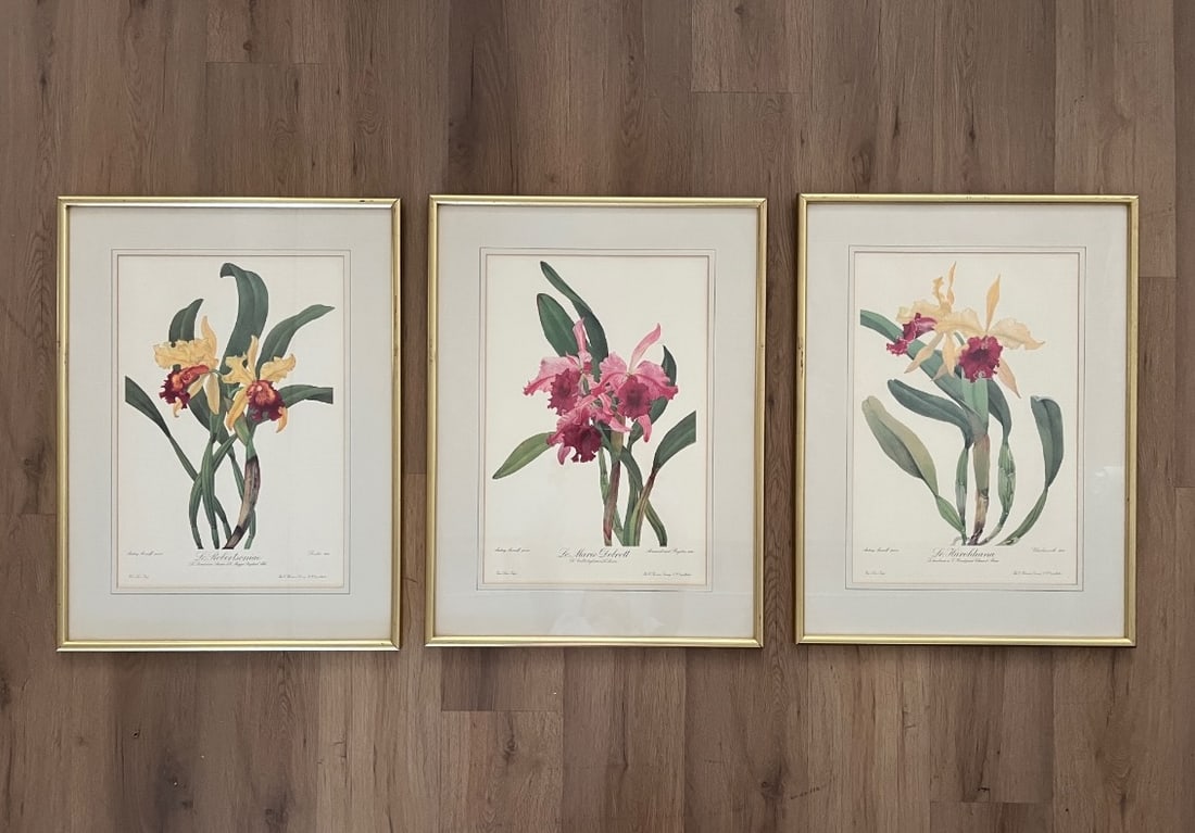 Framed Hand-Colored Botanicals - 2