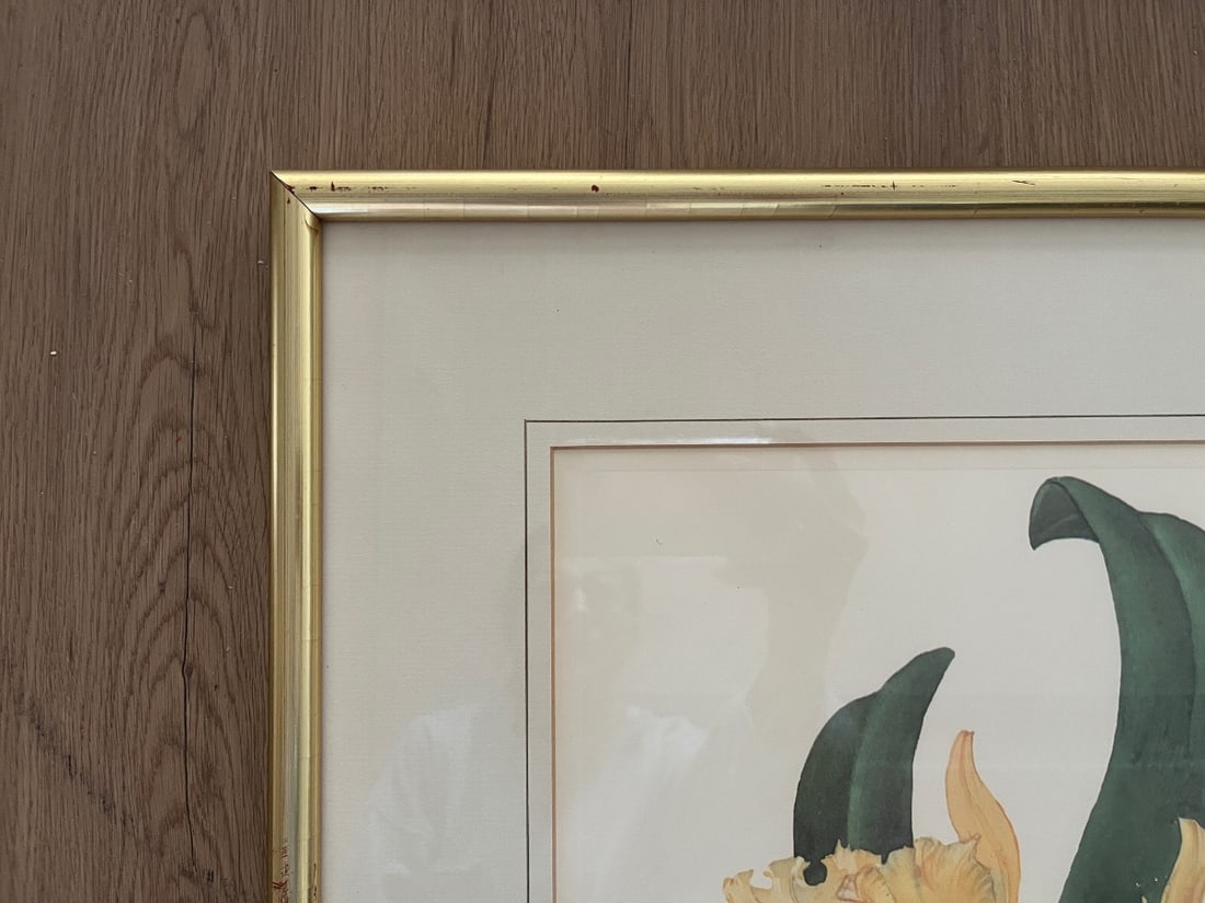 Framed Hand-Colored Botanicals - 3