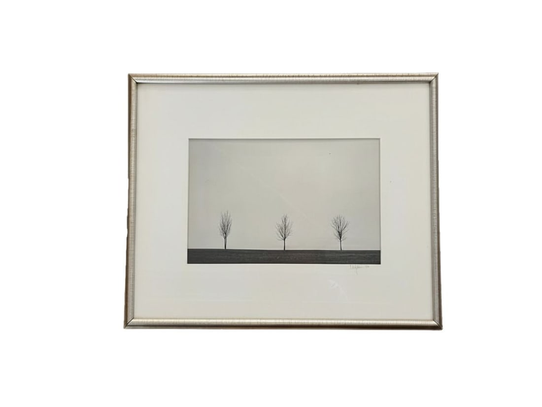 Black and White Photograph of Three Trees, Signed and Dated 1974 (1 of 6)