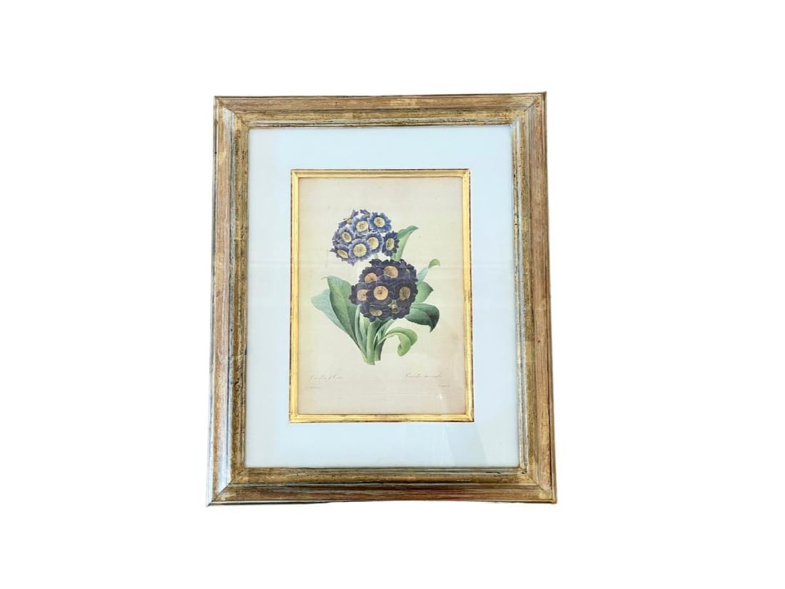 Trowbridge Gallery Framed Botanical Print after Pierre Joseph Redoute (1 of 6)