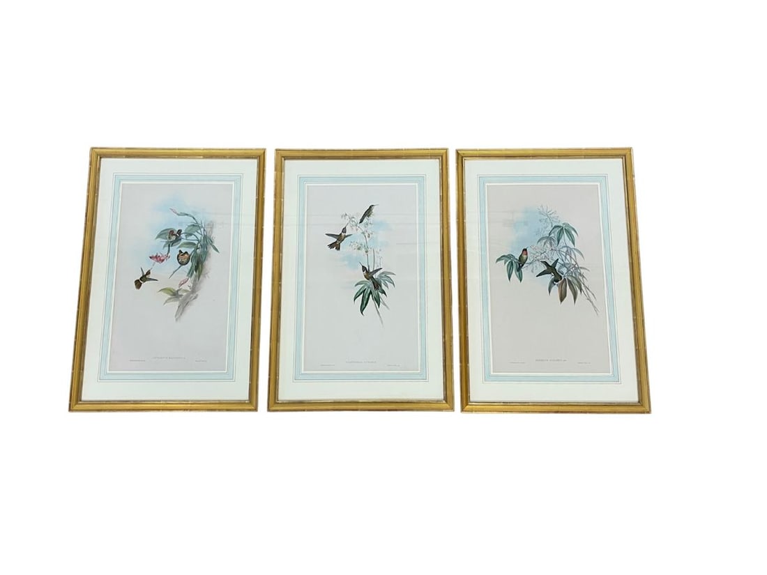18th Century John Gould & H.C. Richter Hand-Colored Bird Lithographs, Framed, Set of 3 (1 of 8)