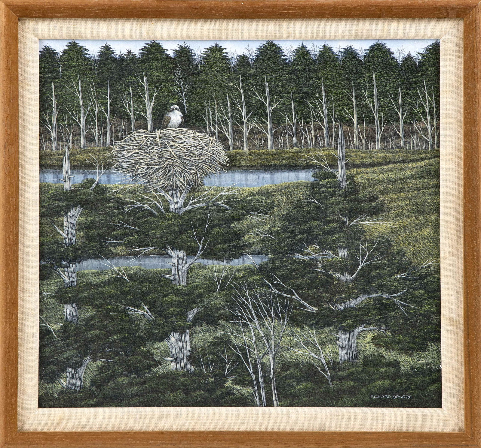 RICHARD SPARRE, Massachusetts, 1936-2008, Osprey nest.,: RICHARD SPARRE Massachusetts, 1936-2008 Osprey nest. Signed lower right "Richard Sparre". Tempera on panel, 14" x 16". Framed 17.5" x 19".