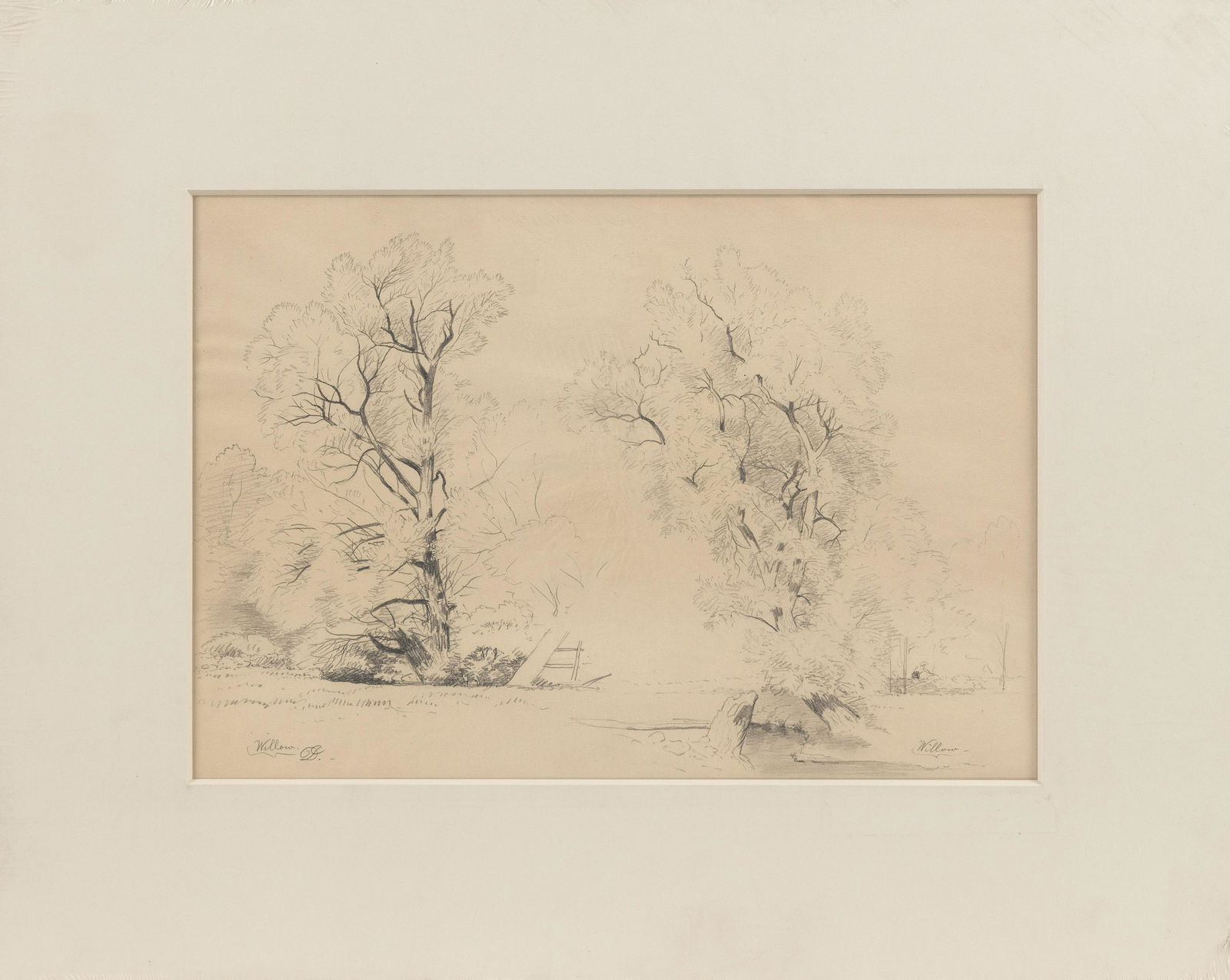 DAVID JOHNSON, New York, 1827-1908, "Willow"., Pencil: DAVID JOHNSON New York, 1827-1908 "Willow". Monogrammed signature lower left "DJ". Titled in pencil lower left and right "Willow". Pencil on paper, 11.5" x 16.5" sight. Matted 19.5" x 24.5".