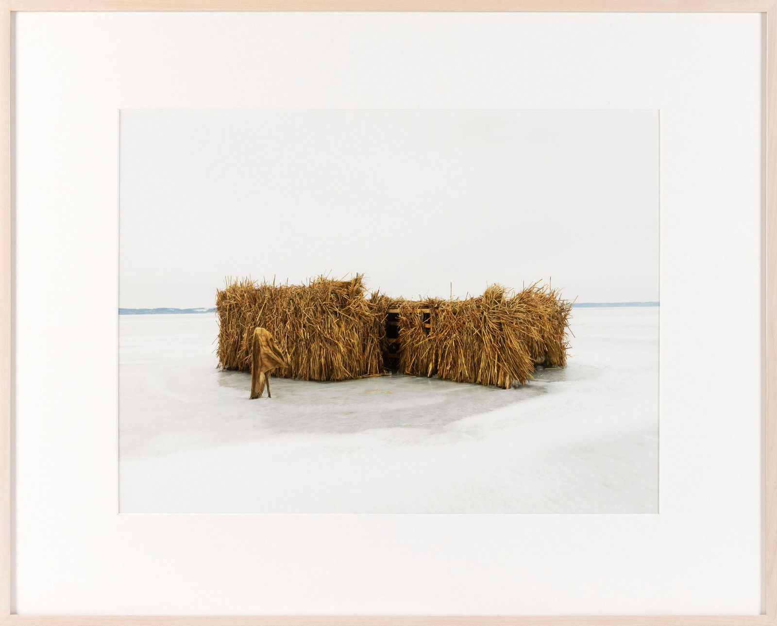 DAVE JORDANO United States, Contemporary "Duck: DAVE JORDANO United States, Contemporary "Duck Blind #12", 2008. Identified on label verso for Clark Gallery, Lincoln, Massachusetts. Inkjet print, 16" x 21.25" sight. Framed 24.75" x 30.75".