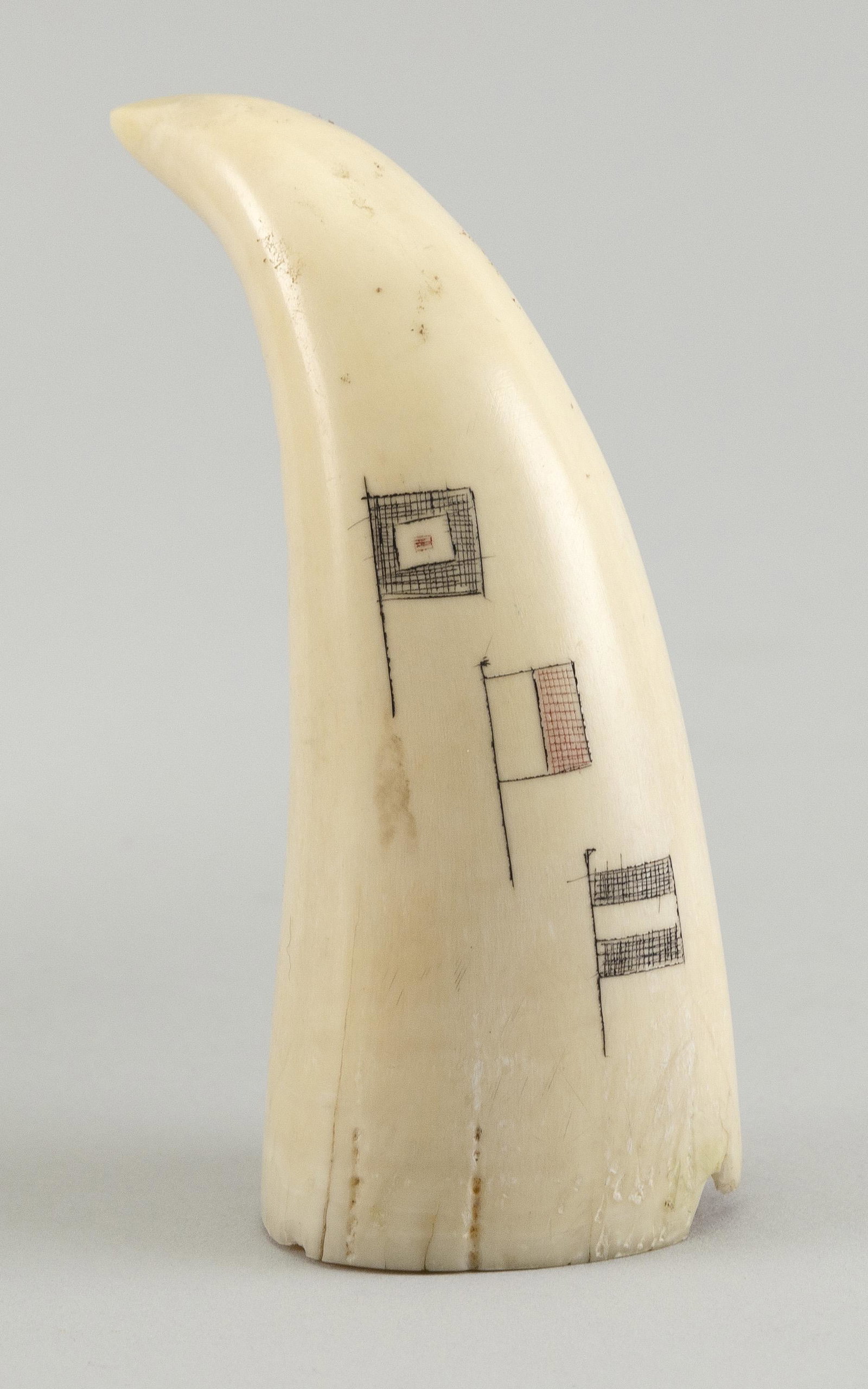 * POLYCHROME SCRIMSHAW WHALE'S TOOTH 20th Century: * POLYCHROME SCRIMSHAW WHALE'S TOOTH 20th Century Depicts signal flags and a buoy. Length 4". * Per Federal Regulation, this item may only be purchased by a Massachusetts resident and will not be ship