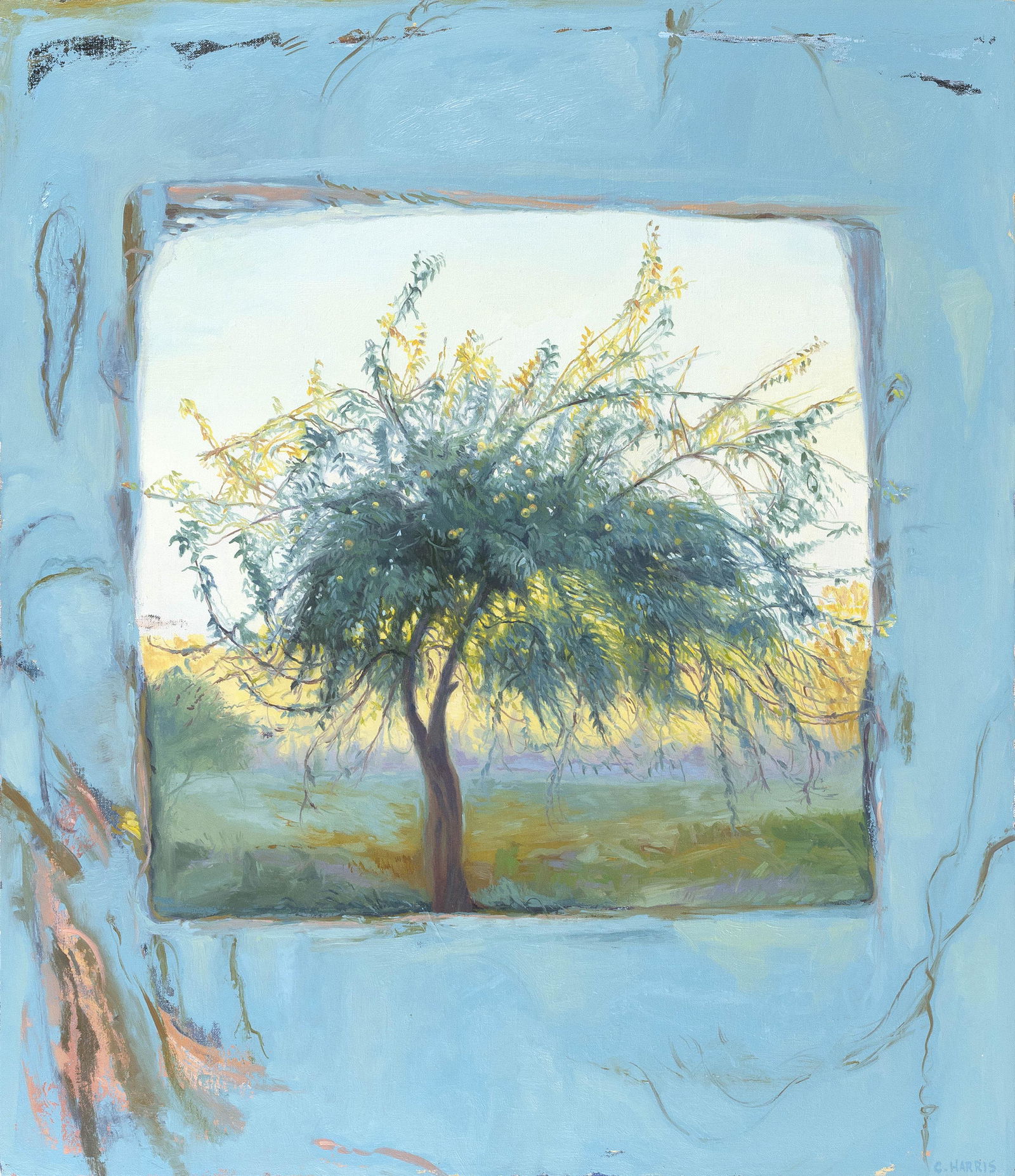 CONLEY HARRIS (Massachusetts, b. 1943), "Morning: CONLEY HARRISMassachusetts, b. 1943"Morning Meadow". Signed lower right "C. Harris". Titled verso.Oil on canvas, 30.5" x 26". Unframed.