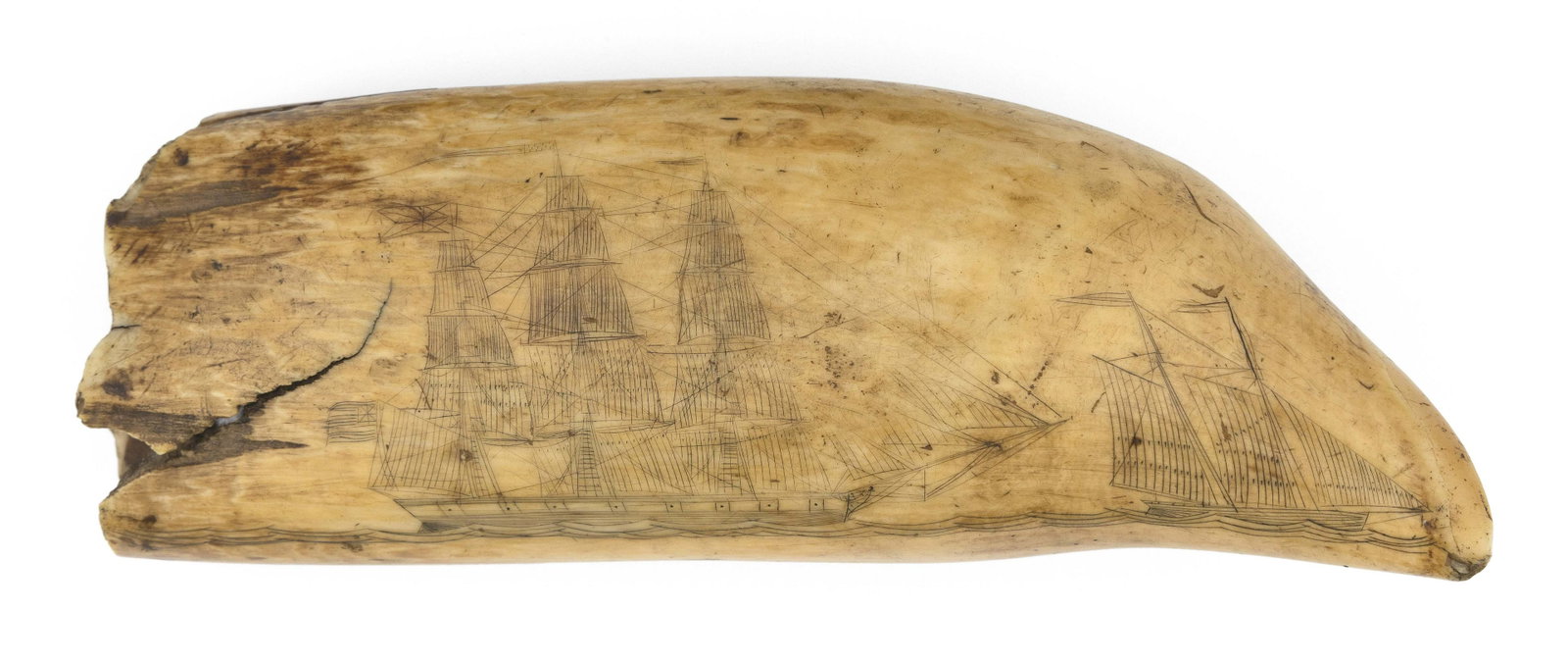 SCRIMSHAW WHALE: SCRIMSHAW WHALE'S TOOTH DEPICTING VESSELS AT SEA Mid-19th Century Obverse depicts a Kingdom of Hawaii-flagged ship and a smaller schooner off her bow. Reverse depicts an American-flagged ship. All thr