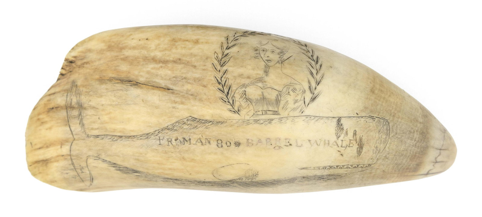 LARGE SCRIMSHAW WHALE: *LARGE SCRIMSHAW WHALE'S TOOTH WITH SPERM WHALE AND OTHER DECORATION Mid-19th Century Obverse depicts a sperm whale marked in serif lettering "From An 80 Barrel Whale". Whale's jaw is open, showing it