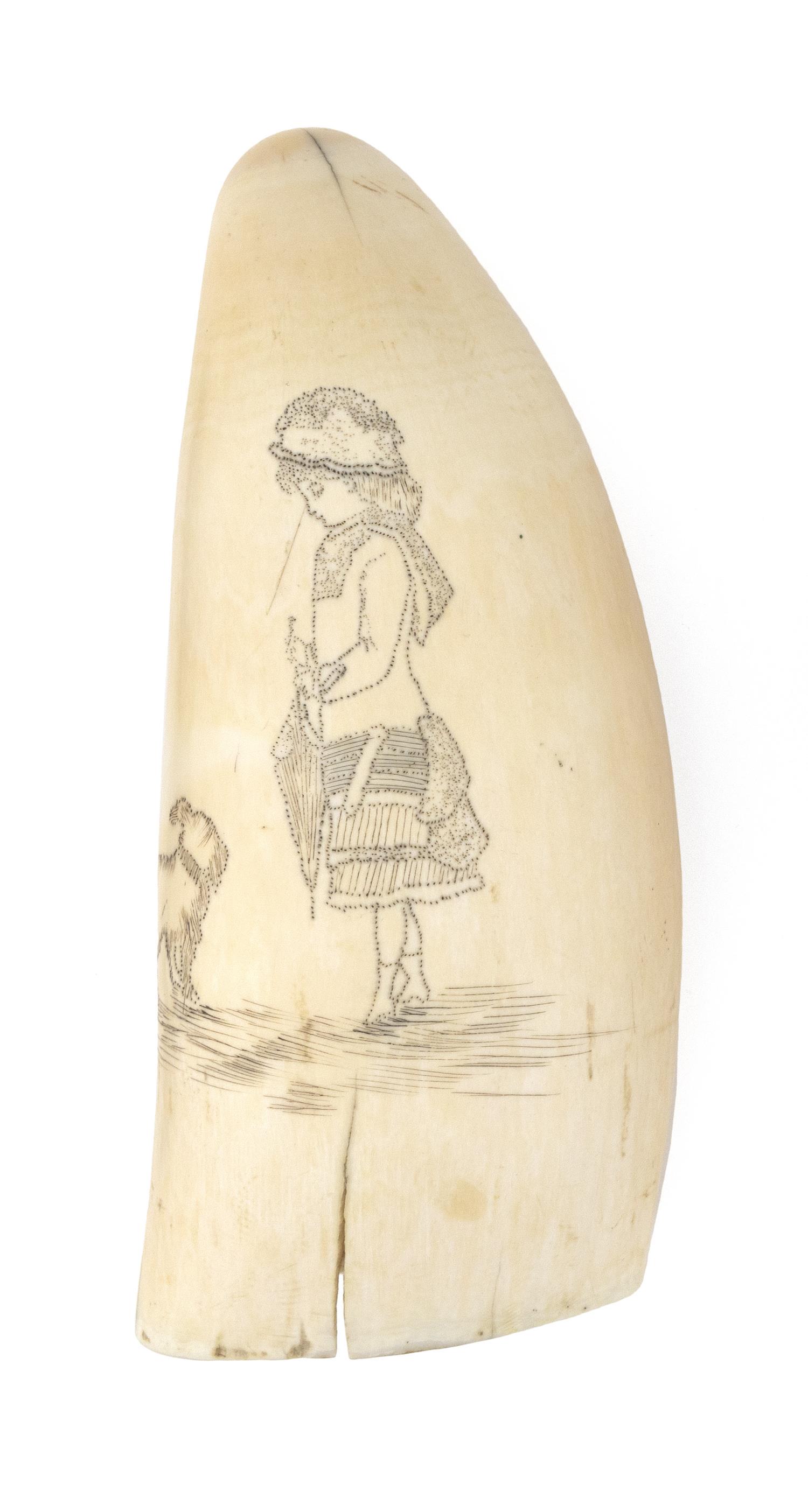 SCRIMSHAW WHALE'S TOOTH DEPICTING A GIRL AND HER DOG: SCRIMSHAW WHALE'S TOOTH DEPICTING A GIRL AND HER DOG Mid-19th Century Girl wearing a bonnet and boots and holding a closed parasol. Executed in pinpoint. Length 5.5". Provenance: A Scrimshaw Coll
