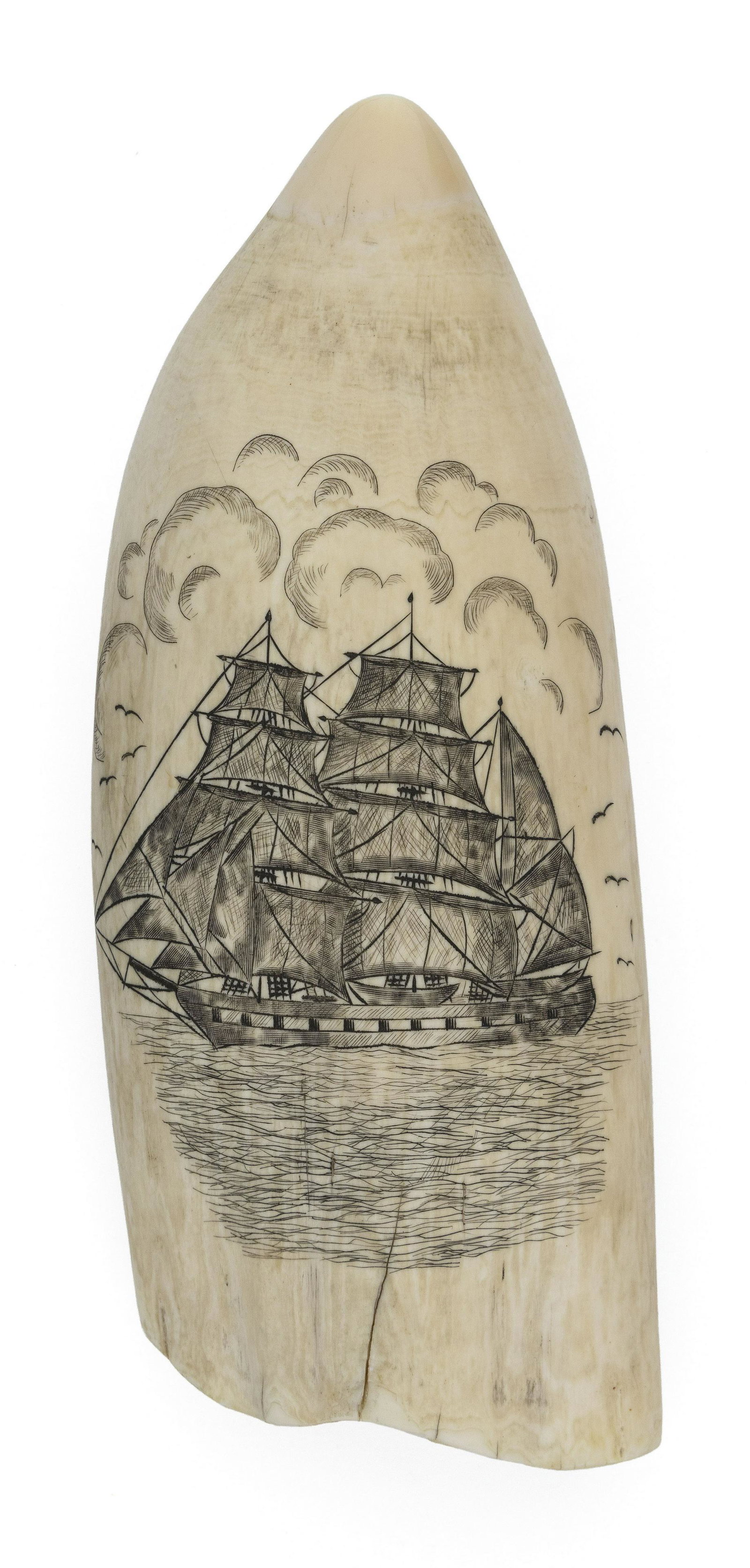 * ENGRAVED WHALE'S TOOTH WITH WHALING MOTIFS 20th: * ENGRAVED WHALE'S TOOTH WITH WHALING MOTIFS 20th Century Obverse depicts a whaleship under sail, surrounded by a flock of gulls. Reverse depicts three whaling implements bound by a coil of rope. *Per