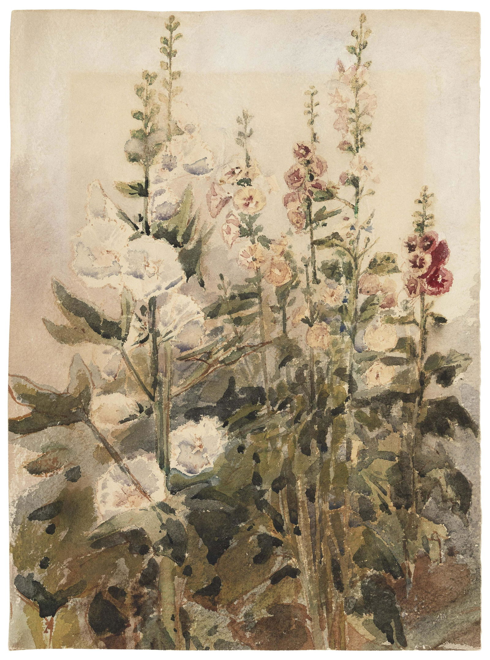 AMERICAN SCHOOL   Early 20th Century  Hollyhocks. (1 of 2)