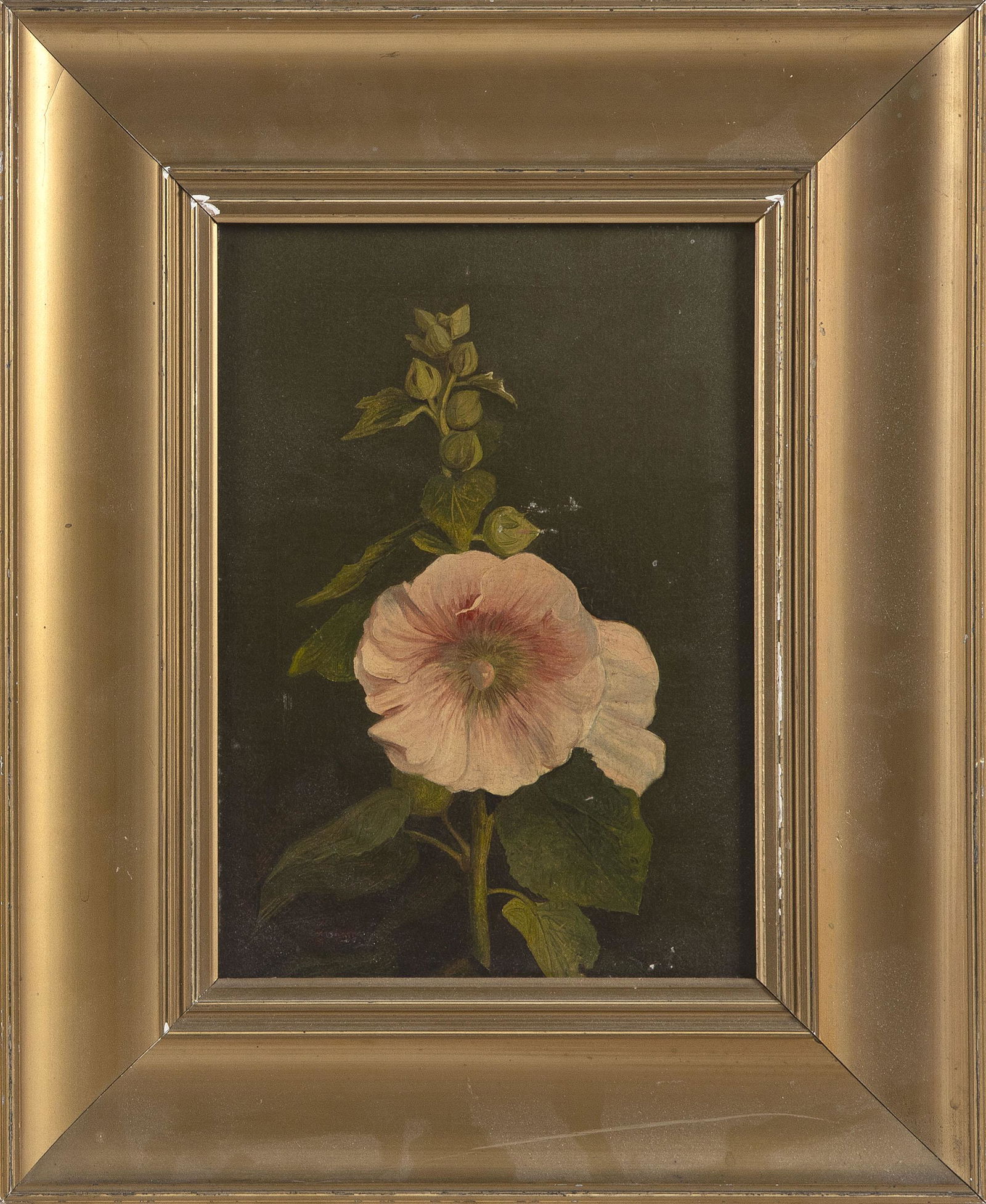 AMERICAN SCHOOL   Late 19th Century  Hollyhocks. (1 of 2)