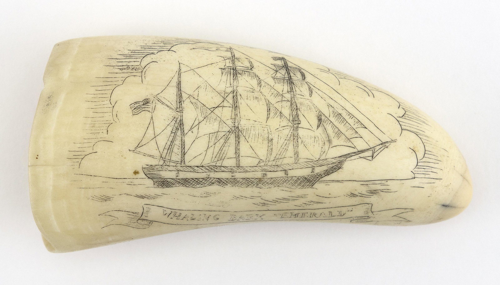 * ENGRAVED WHALE’S TOOTH 20th Century Obverse: * ENGRAVED WHALE’S TOOTH 20th Century Obverse depicts the "Whaling Bark 'Emerall'", identified in banner below. Reverse depicts an active whaling scene. * Per Federal Regulation, this item