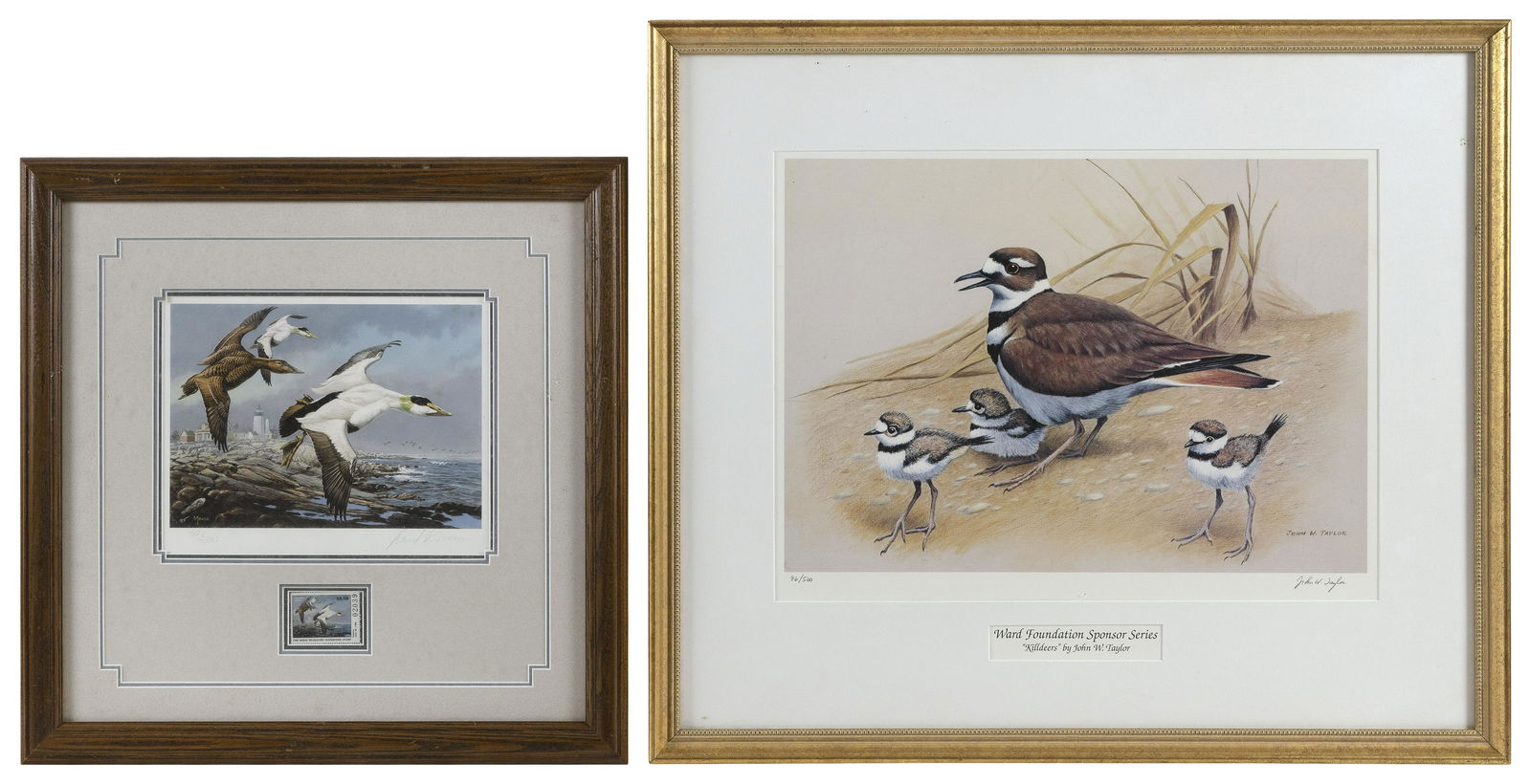 TWO BIRD-THEMED PRINTS: TWO BIRD-THEMED PRINTS20th Century1) “Killdeers” by John Taylor. Signed in pencil lower right “John W. Taylor”. 13” x 17”. Framed 21.5" x 24”.2) 1985 Maine waterfowl stamp print by