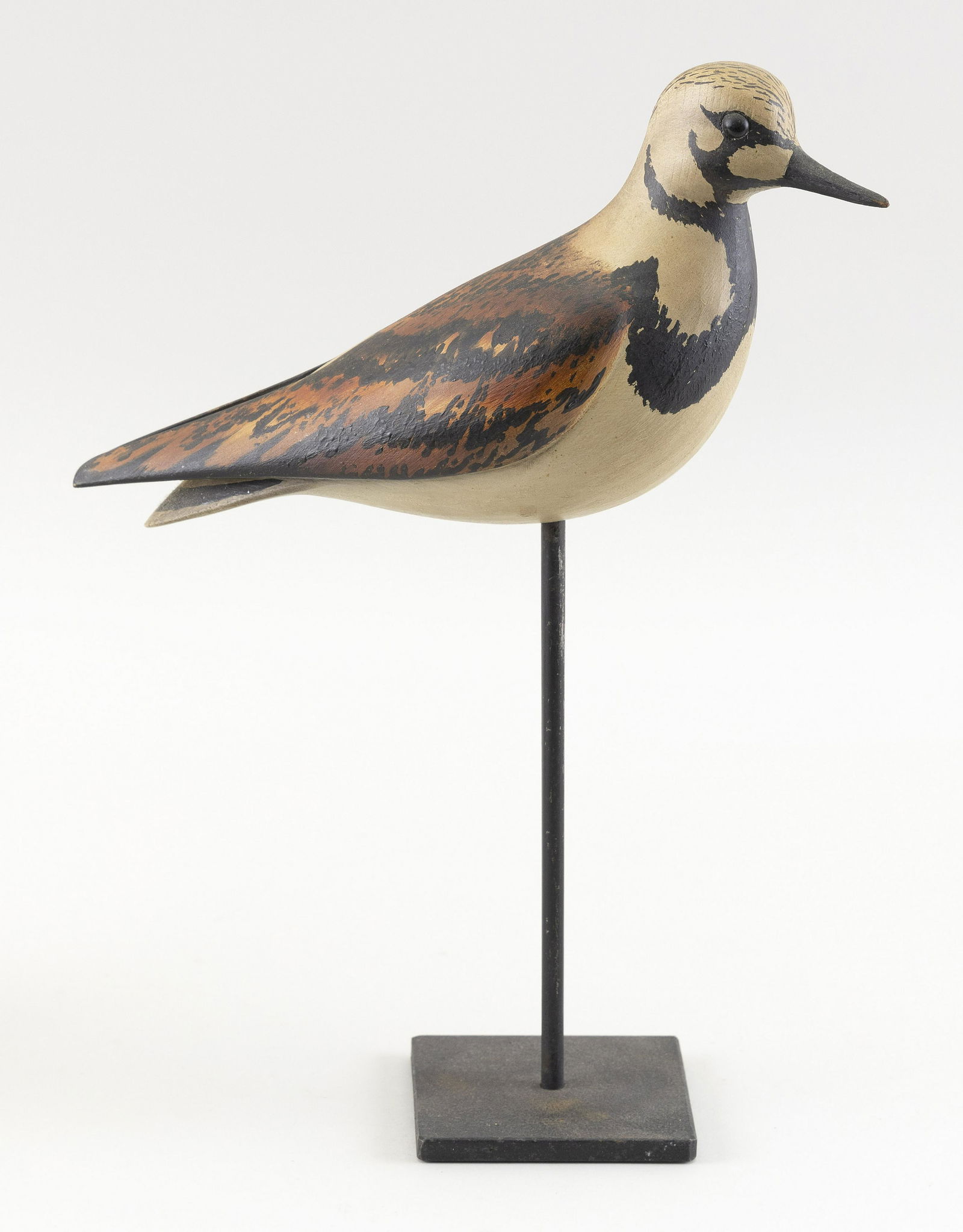 WILLIAM GIBIAN RUDDY TURNSTONE (1 of 3)