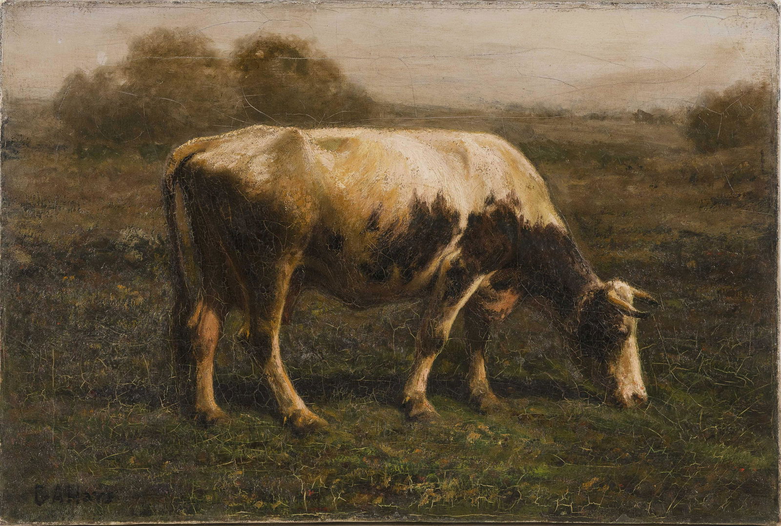 GEORGE ARTHUR HAYS (Rhode Island/Massachusetts/New (1 of 2)