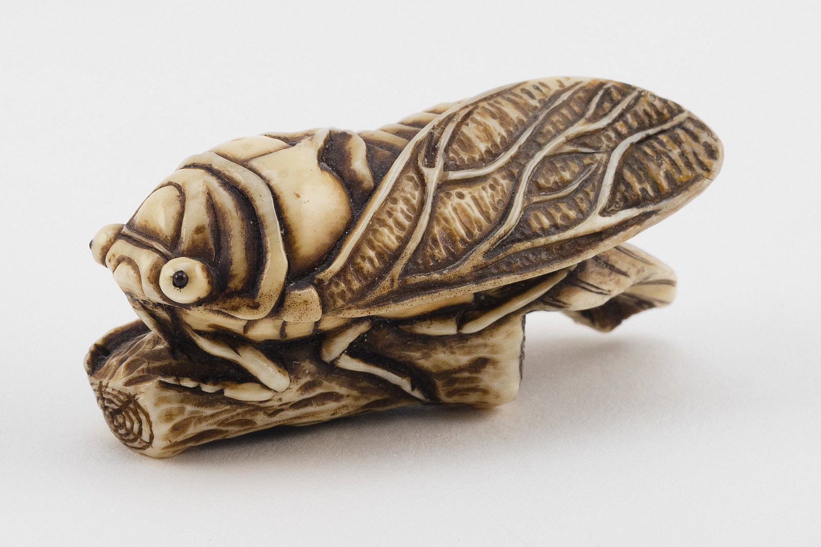 JAPANESE NETSUKE BY DOHO 19th Century Length 2".: JAPANESE NETSUKE BY DOHO 19th Century A cicada resting on a leafy tree branch. Signed. Length 2". Provenance: Private Western Massachusetts Collection.