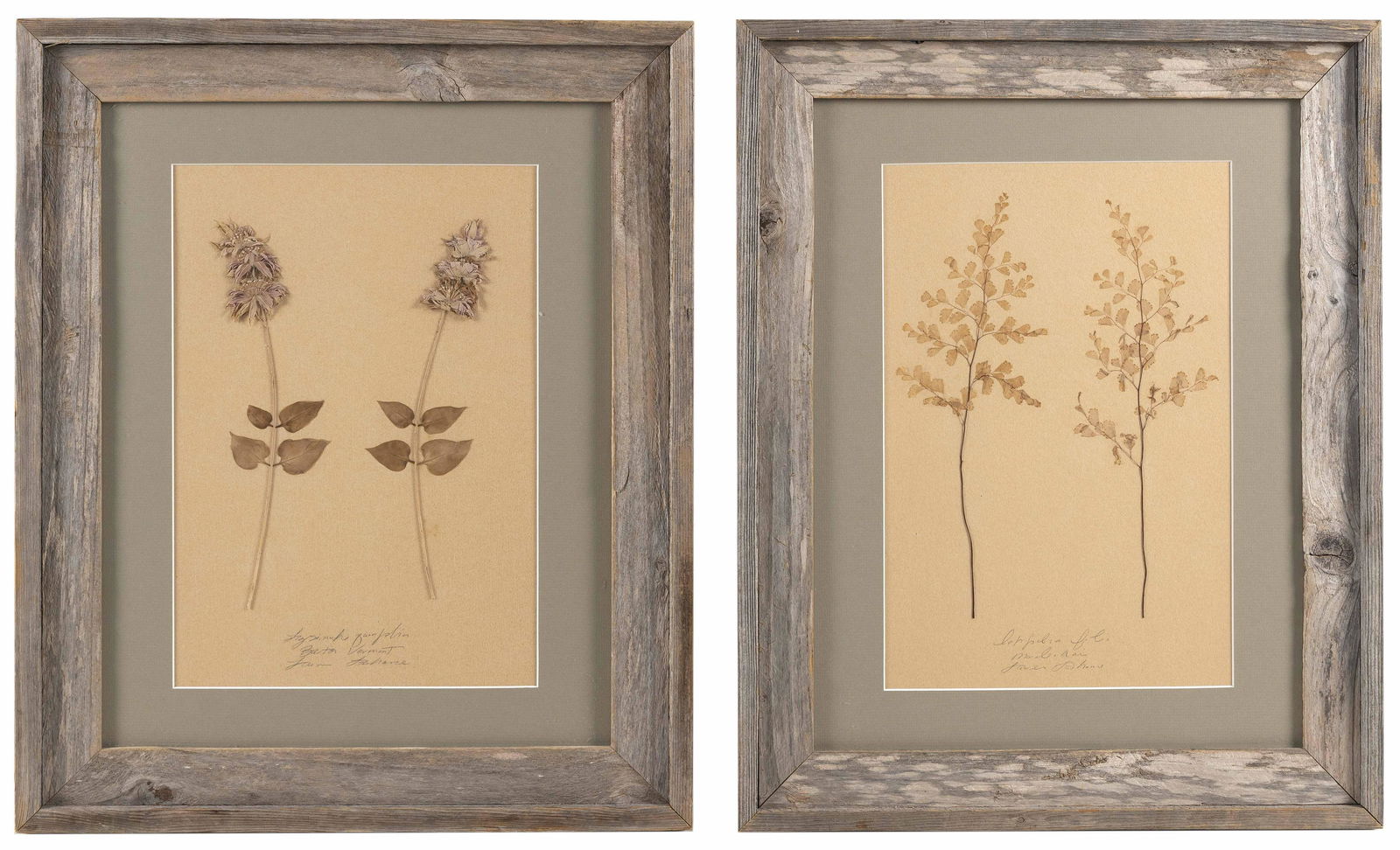 LAUREN LACHANCE (America, Contemporary), Pair of (1 of 1)